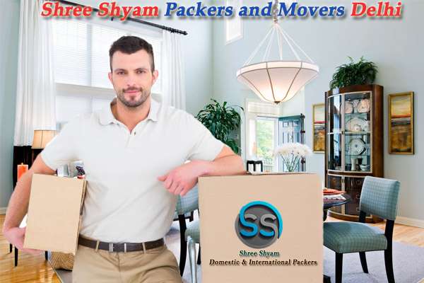 Shree Shyam Packers and Movers Delhi